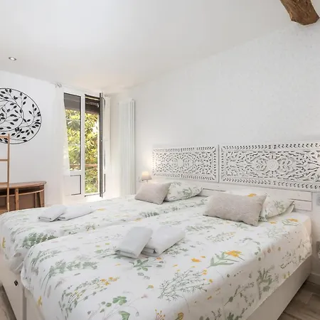 The Collection - Sarriegi Saint-Sébastien